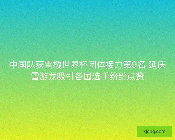 中国队获雪橇世界杯团体接力第9名 延庆雪游龙吸引各国选手纷纷点赞
